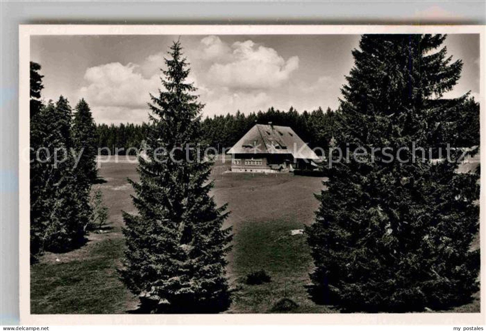 Furtwangen Hoehengasthaus Martinskapelle