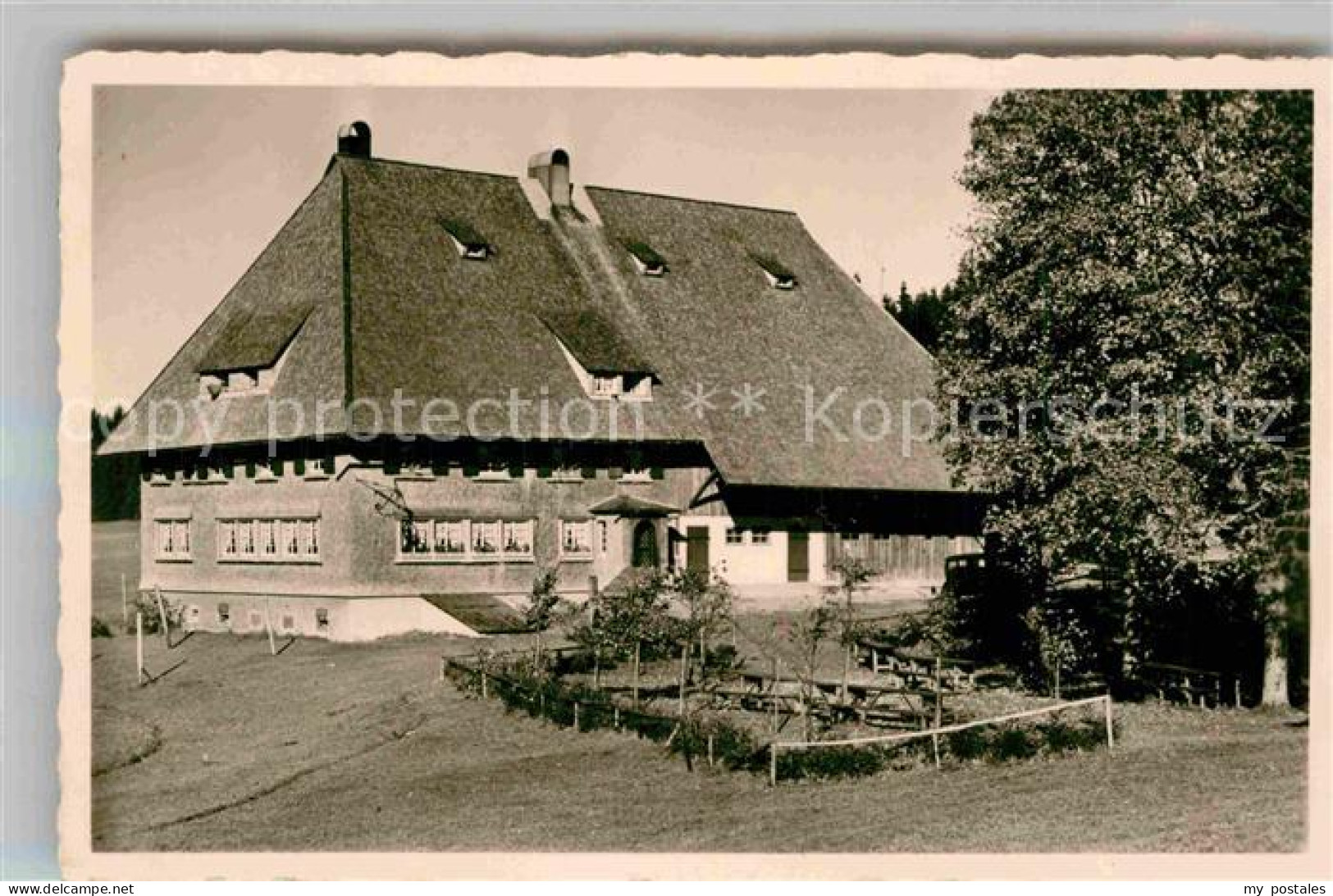 Furtwangen Hoehengasthaus Martinskapelle