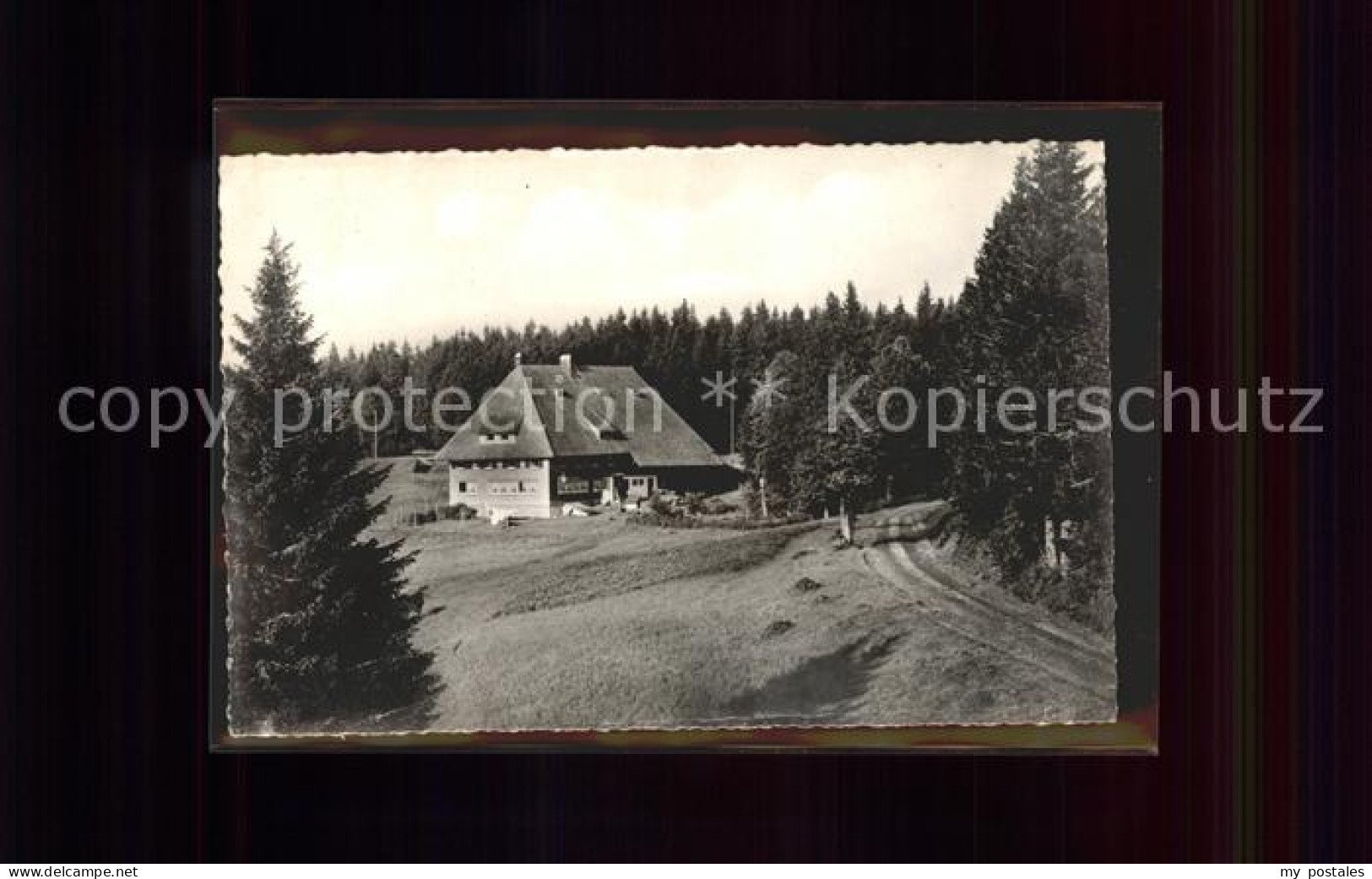 Furtwangen Hoehengasthaus Pension Martinskapelle