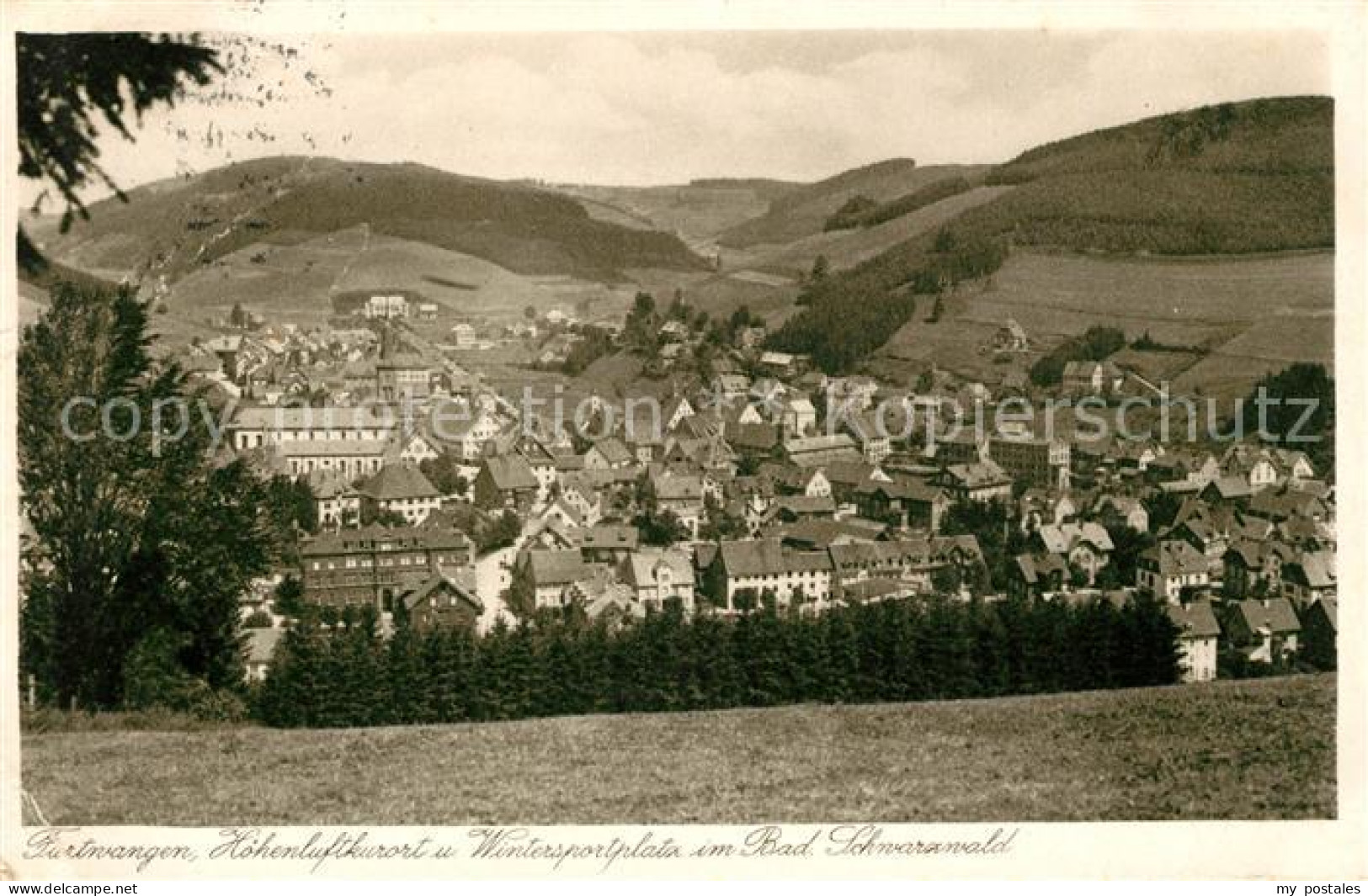 Furtwangen Panorama