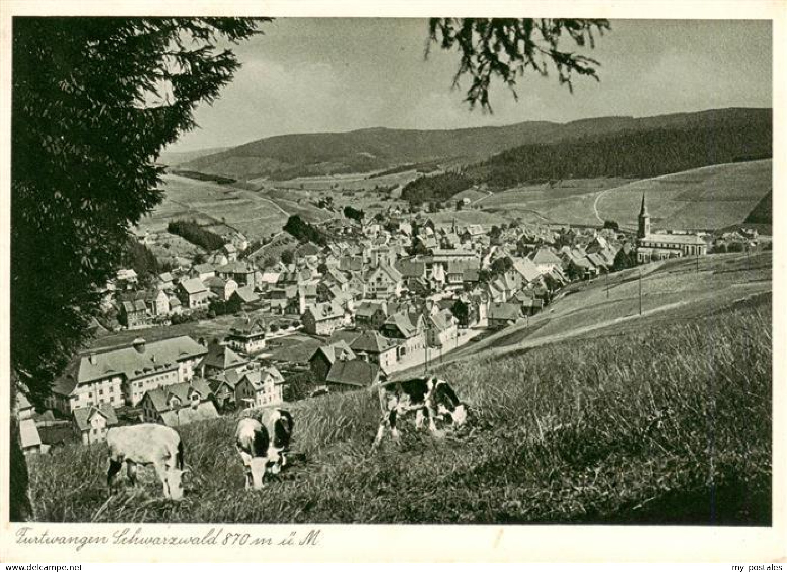 Furtwangen Panorama