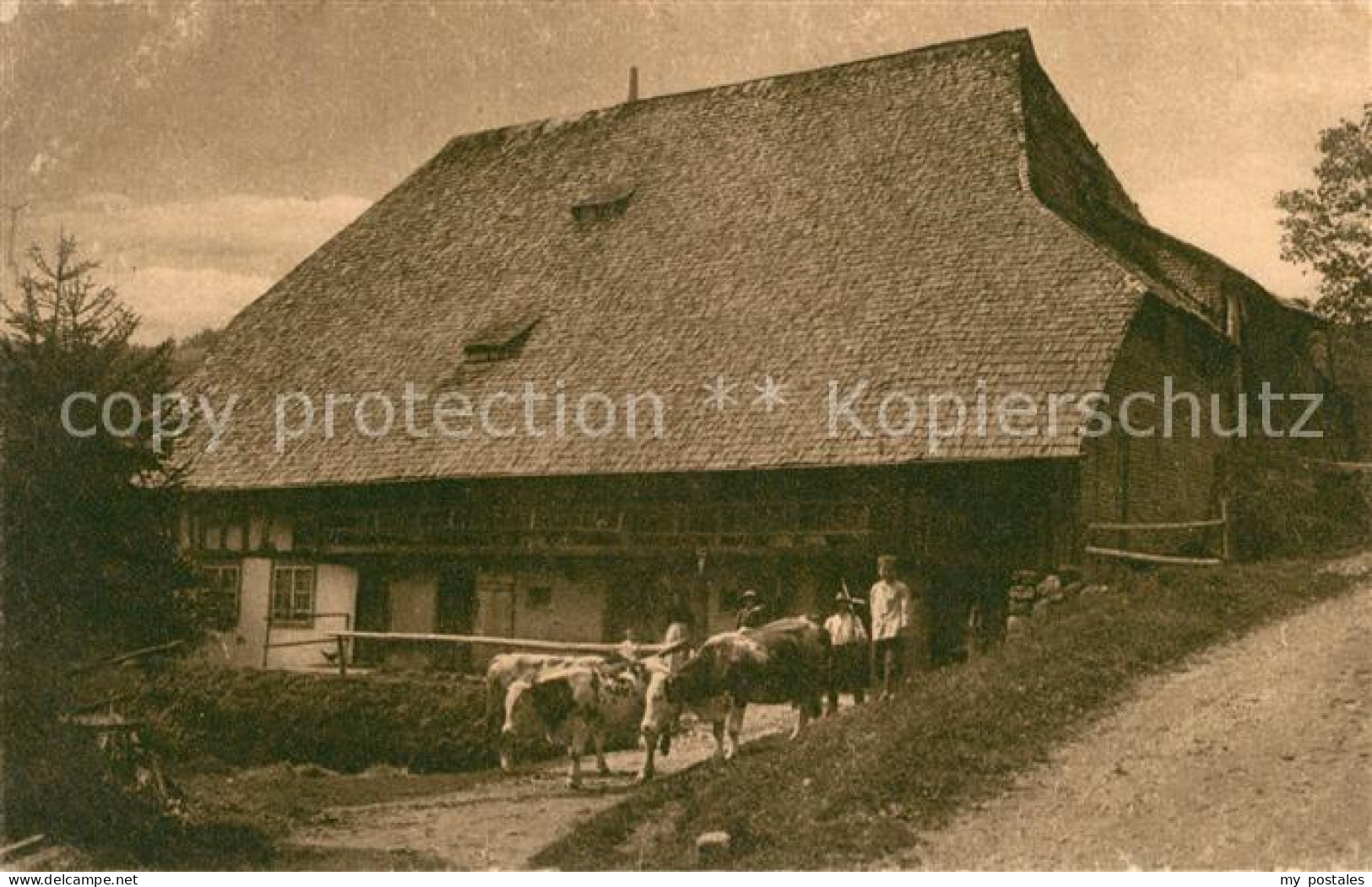 Furtwangen Schwarzwaelder Bauernhof