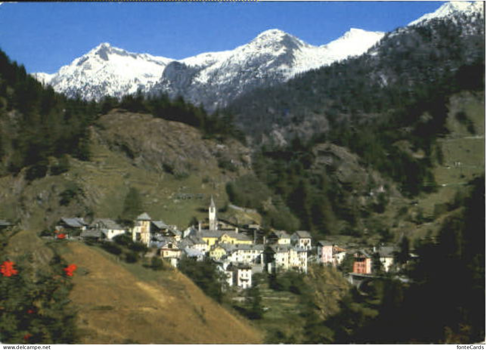 Fusio TI Fusio
