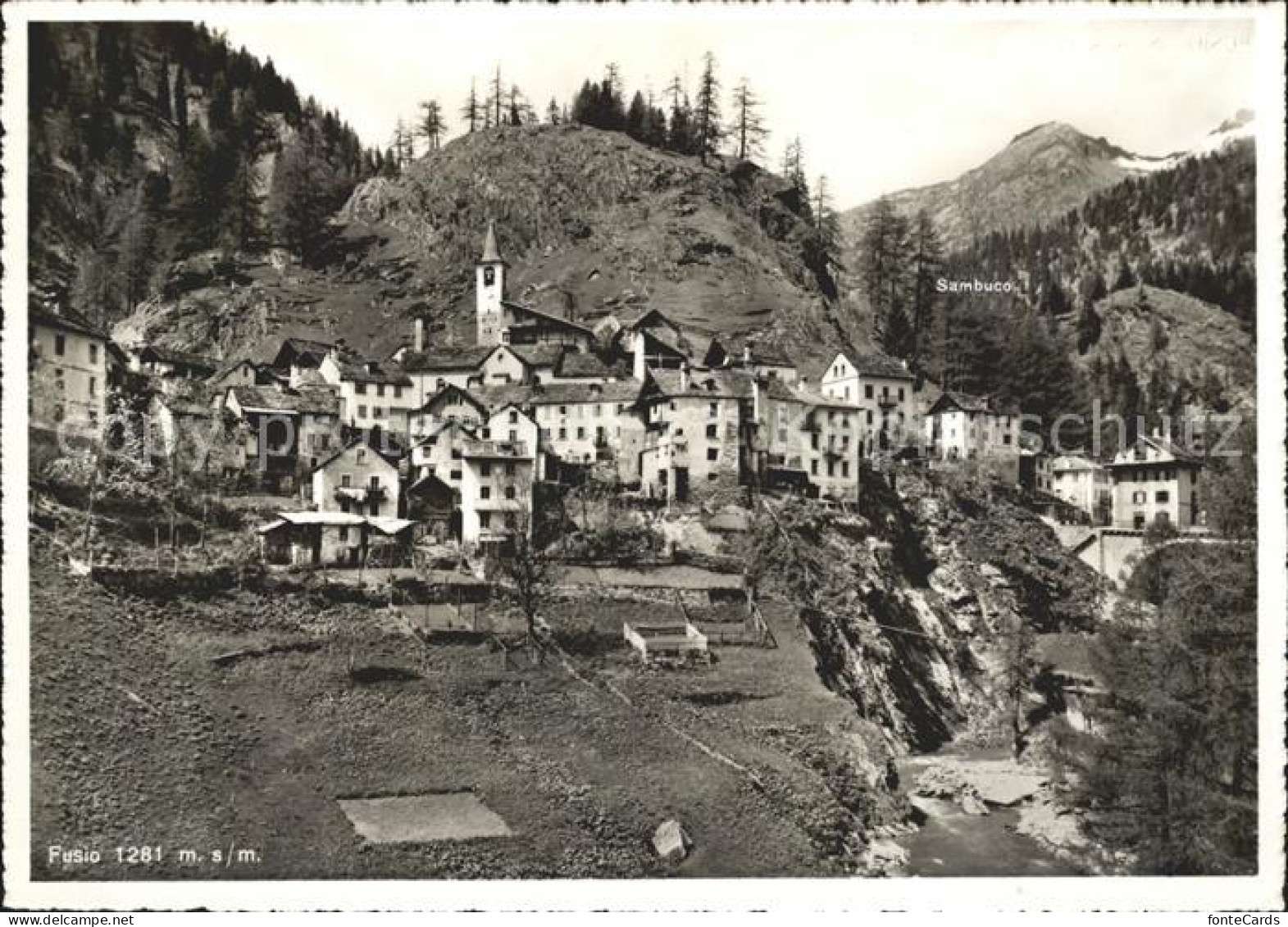 Fusio TI Gesamtansicht