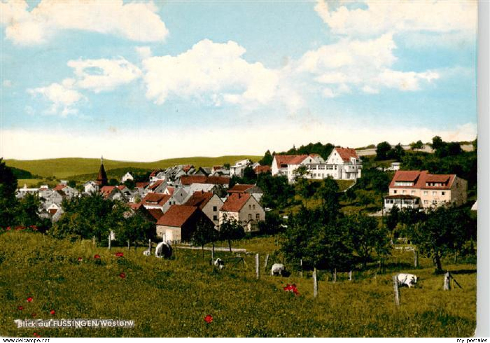 Fussingen Waldbrunn Westerwald Ortsansicht