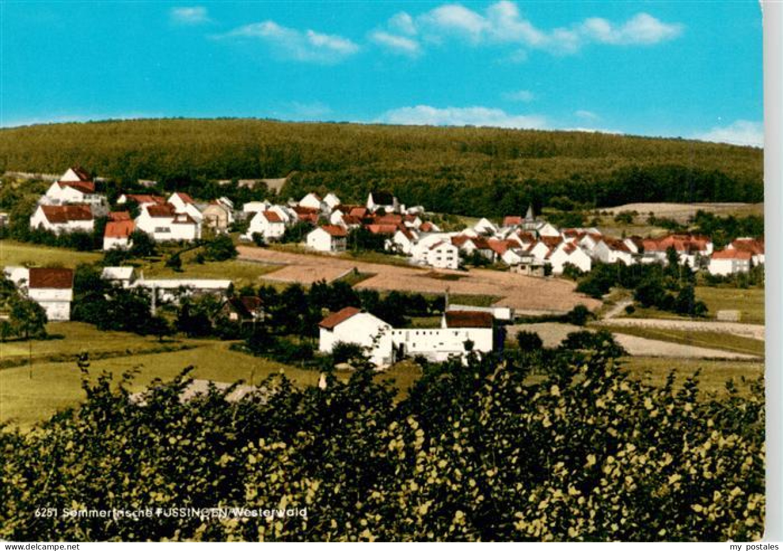 Fussingen Waldbrunn Westerwald Panorama