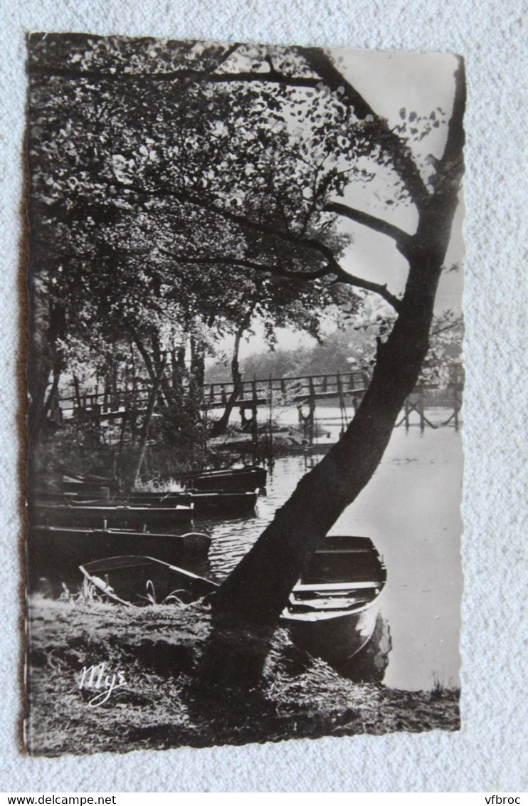 G202, Cpsm, Mimizan, vue sur le lac, Landes 40