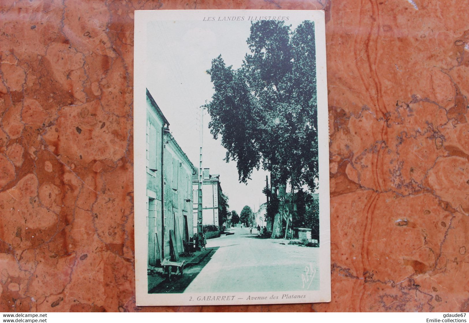 GABARRET (40) - AVENUE DES PLATANES