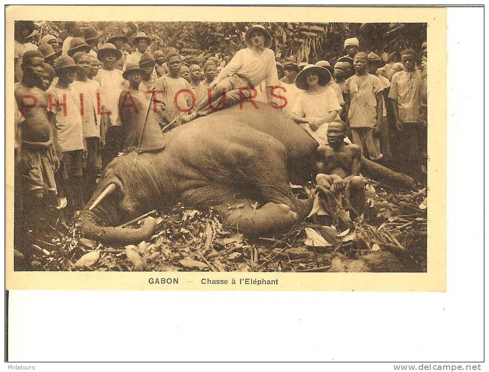 GABON  /  CHASSE A L'ELEPHANT