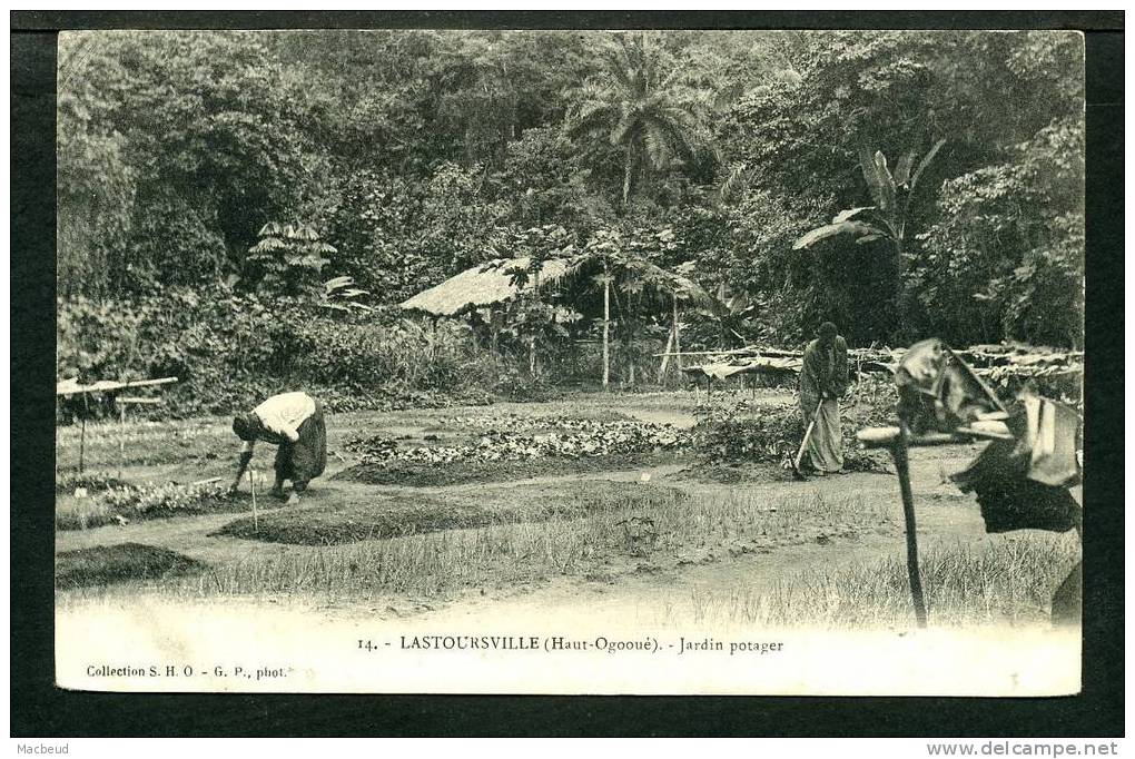 GABON - Lastoursville ( Haut Ogooué ) Jardin potager