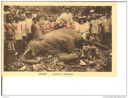GABON  /  CHASSE A L'ELEPHANT