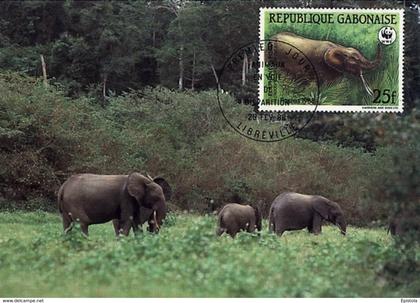 Gabon Gabun 1988 maximum Card fauna WWF protected animals Forest Elephant (Loxodonta africana cyclotis) Elefant elefante