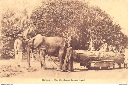 Gabon - Un éléphant domestiqué - Ed. Spiritus
