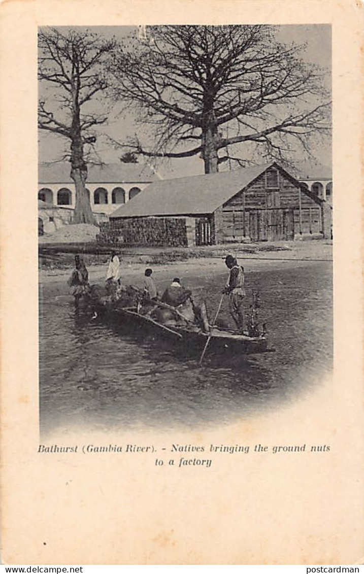 Gambia - BATHURST - Natives bringing the ground nuts to a factory - Publ. unknown