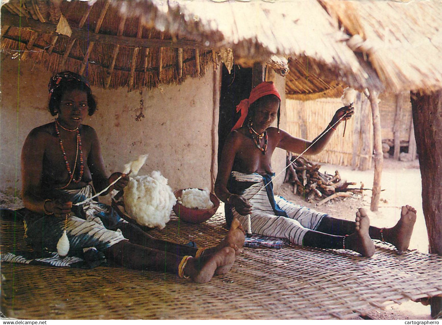 Gambia cotton teaselers