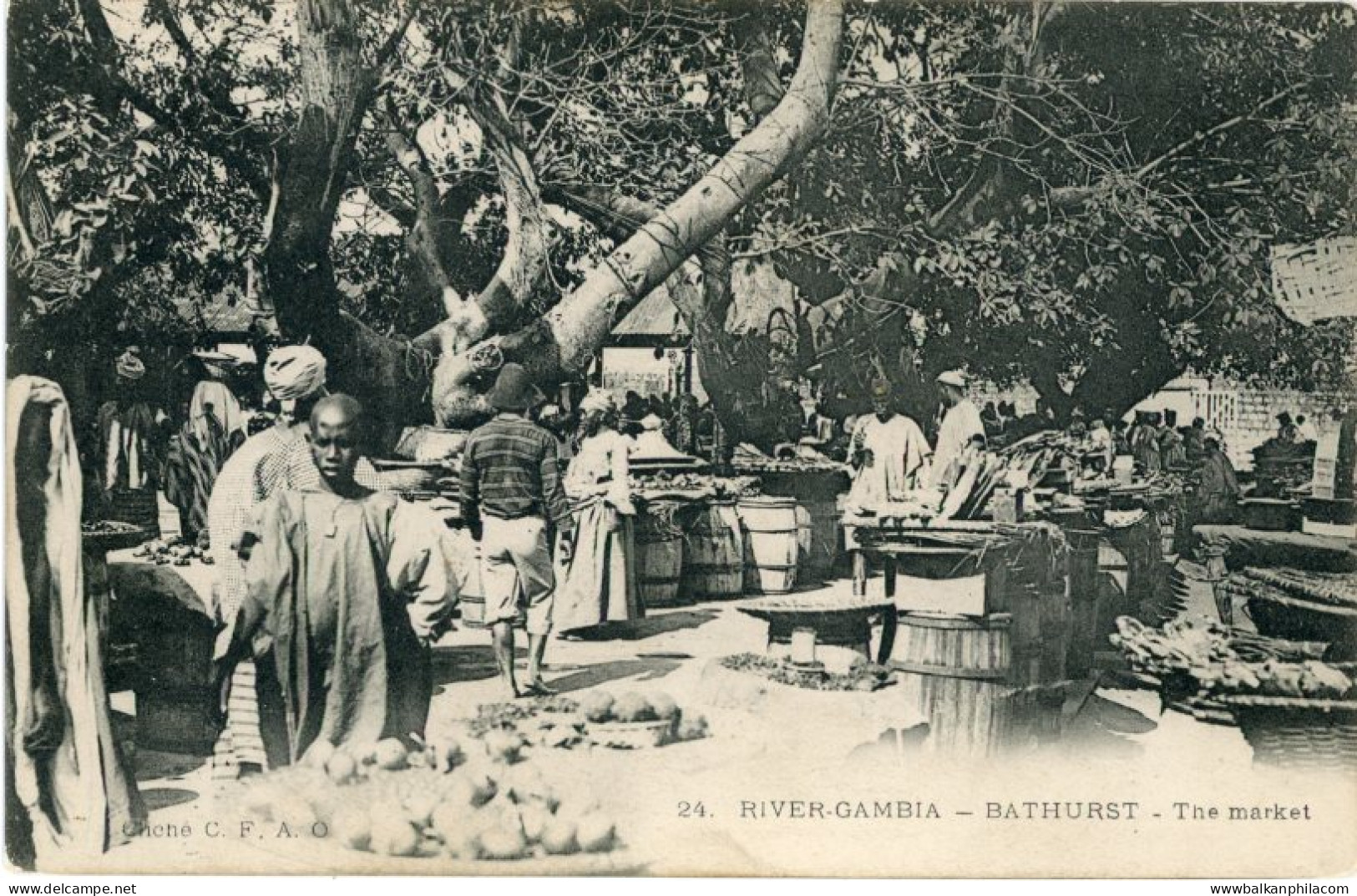 Gambia River Bathurst Market