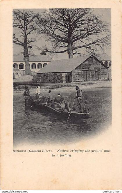 Gambia - BATHURST - Natives bringing the ground nuts to a factory - Publ. unknown