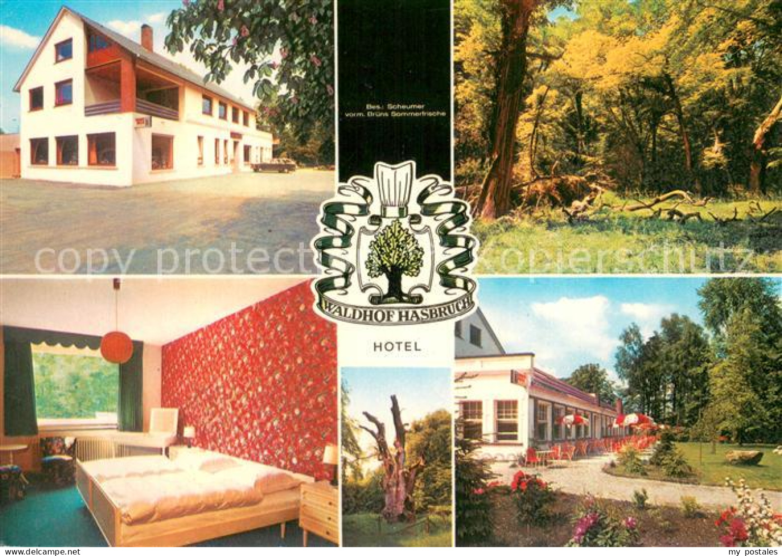 Ganderkesee Hotel Waldhof Hasbruch Zimmer Park