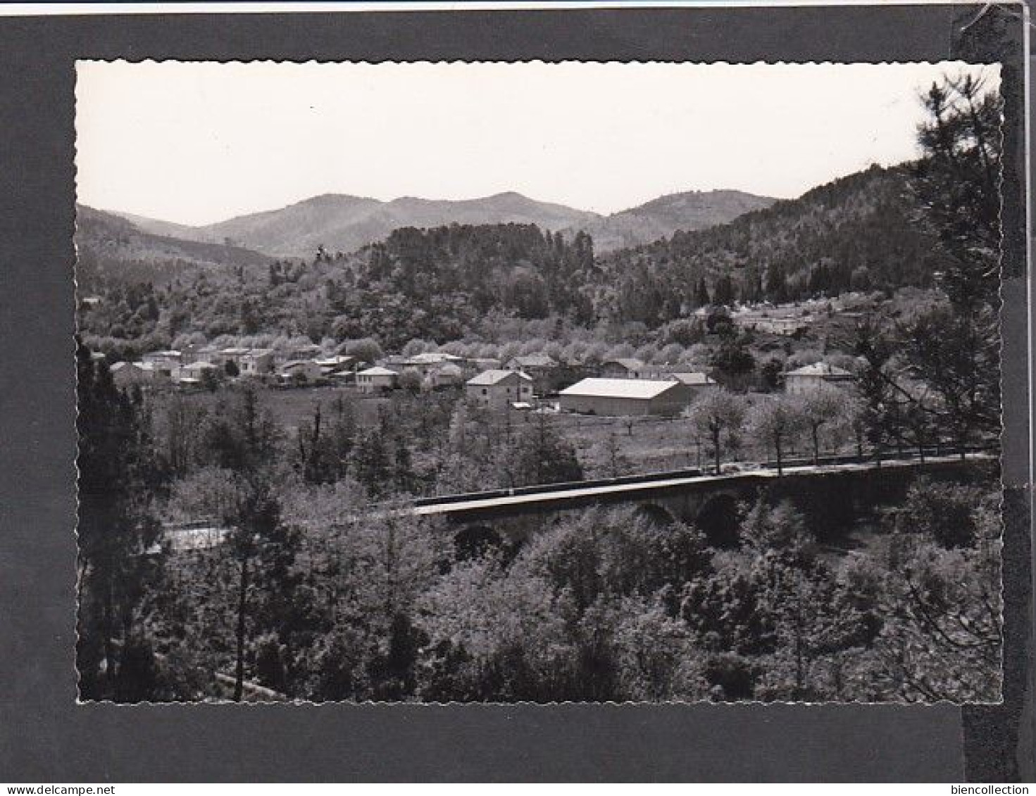 Gard.  Chamborigaud , vue générale