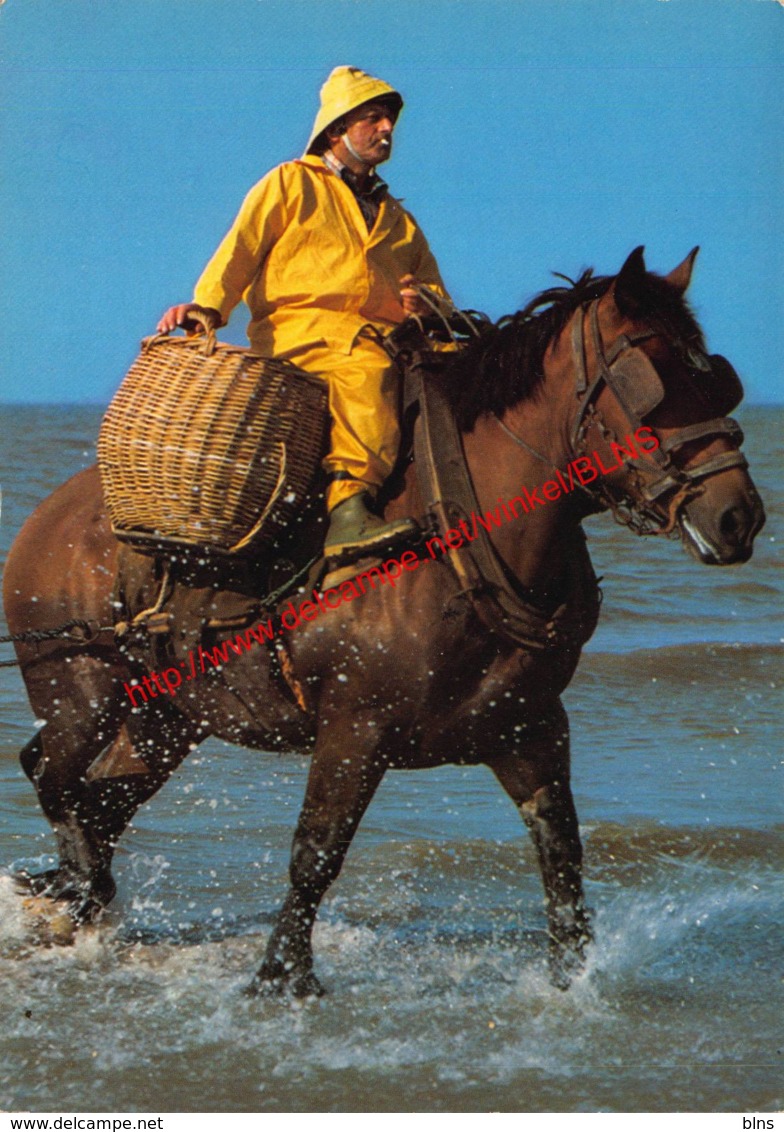 Garnaalvisser - Oostduinkerke