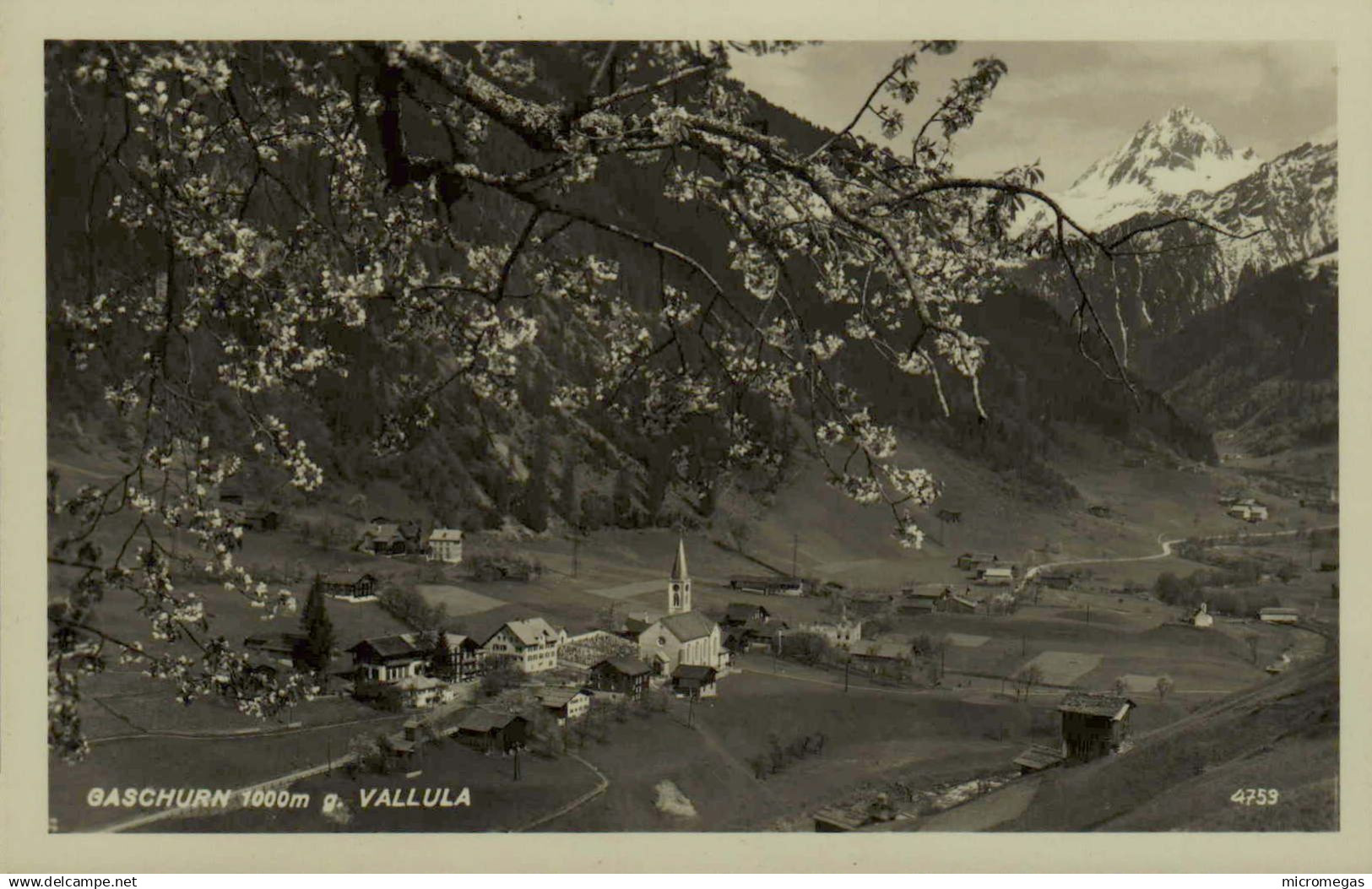 GASCHURN g. VALLULA
