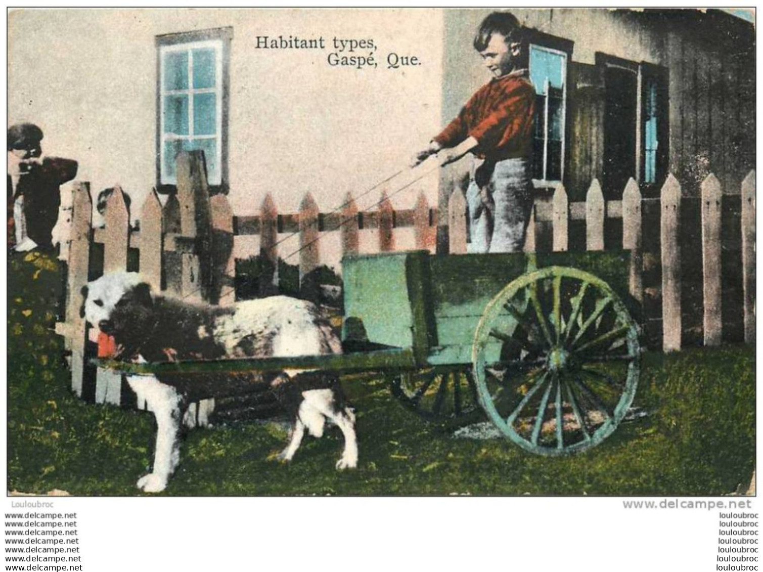 GASPE HABITANT TYPES GASPE QUE ATTELAGE DE CHIEN VOYAGEE TIMBREE