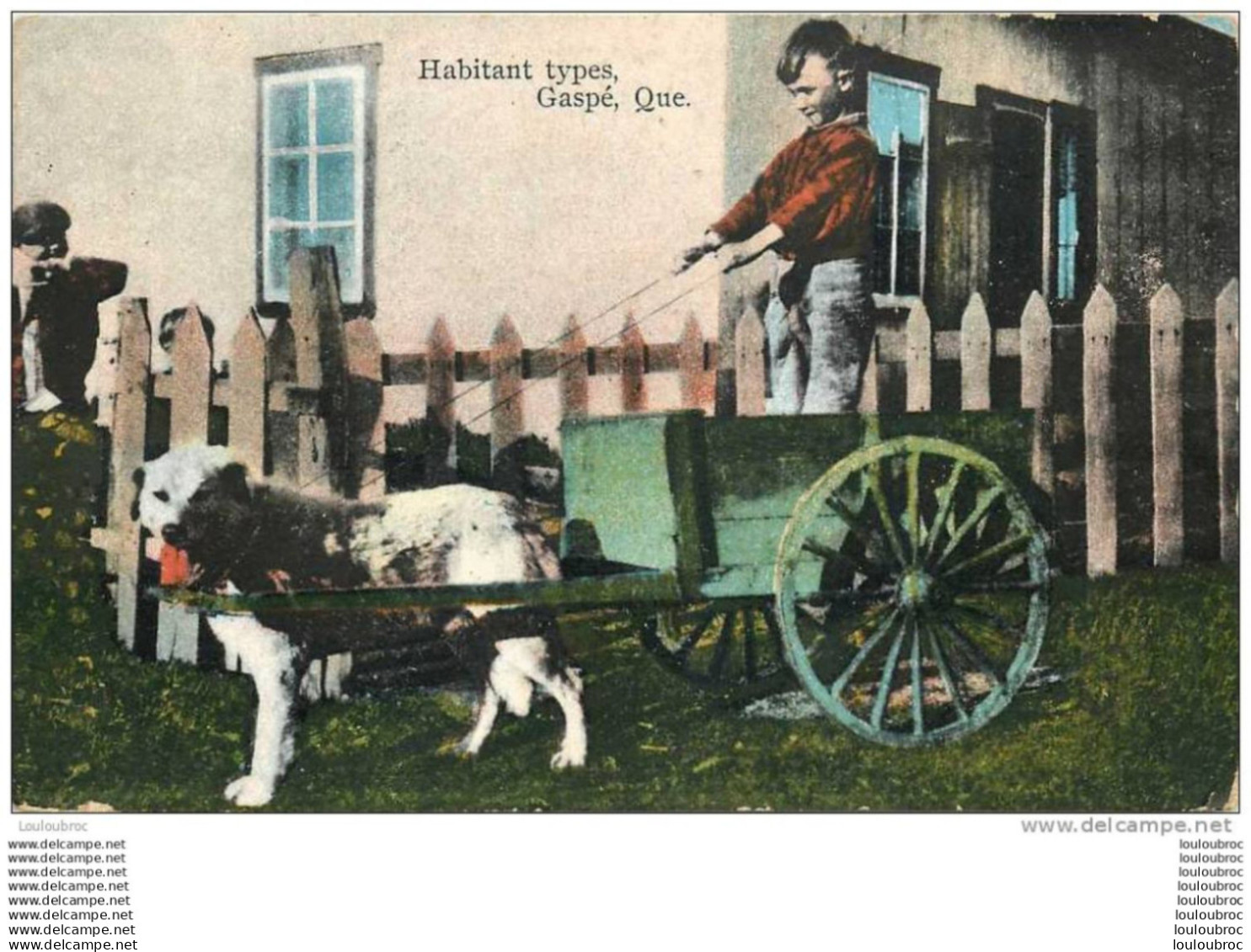 GASPE HABITANT TYPES GASPE QUE ATTELAGE DE CHIEN VOYAGEE TIMBREE