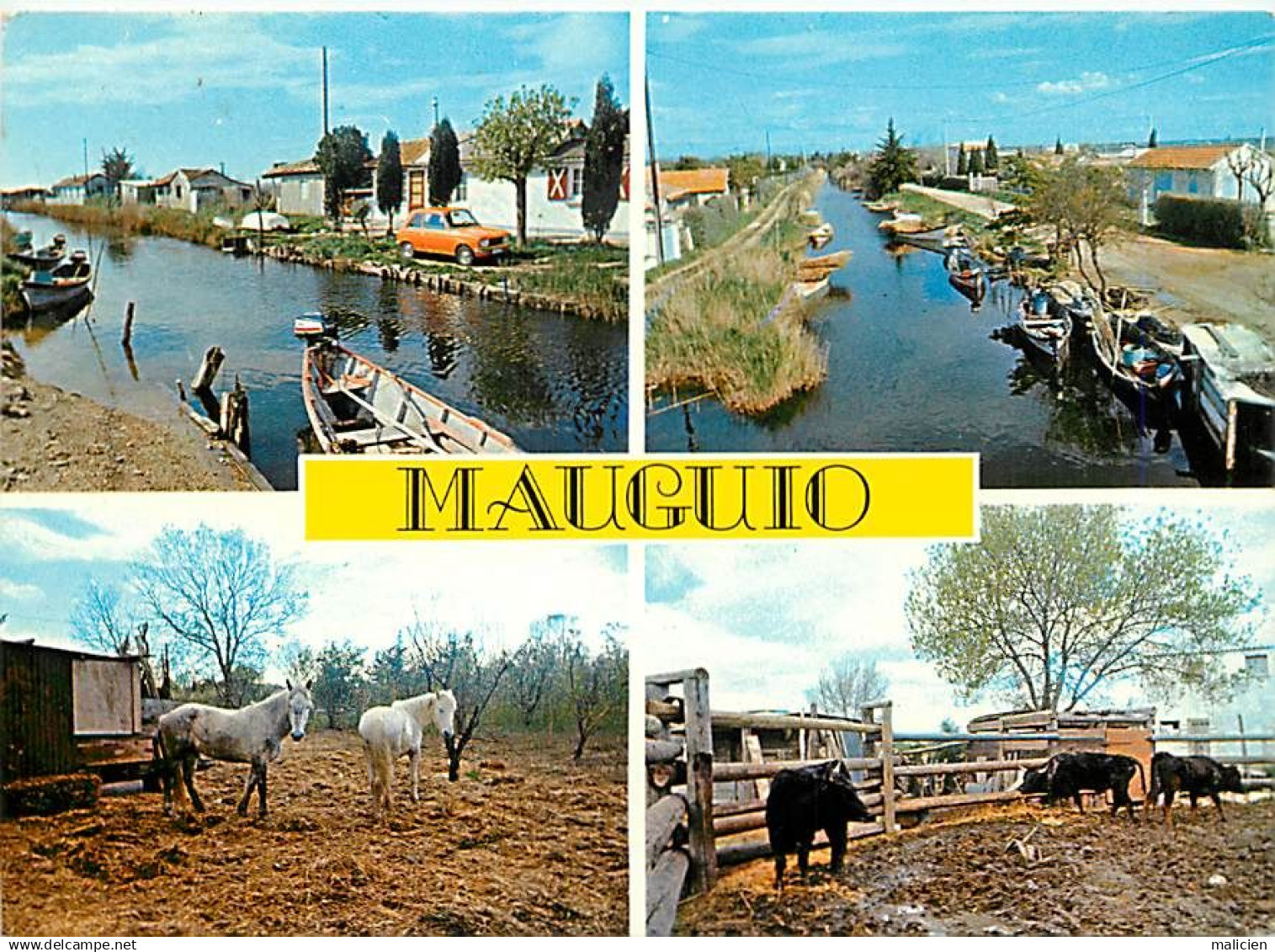 gd format -ref-AF173- herault - MAUGUIO - les cabanes de mauguio - souvenir de .. - multi vues -