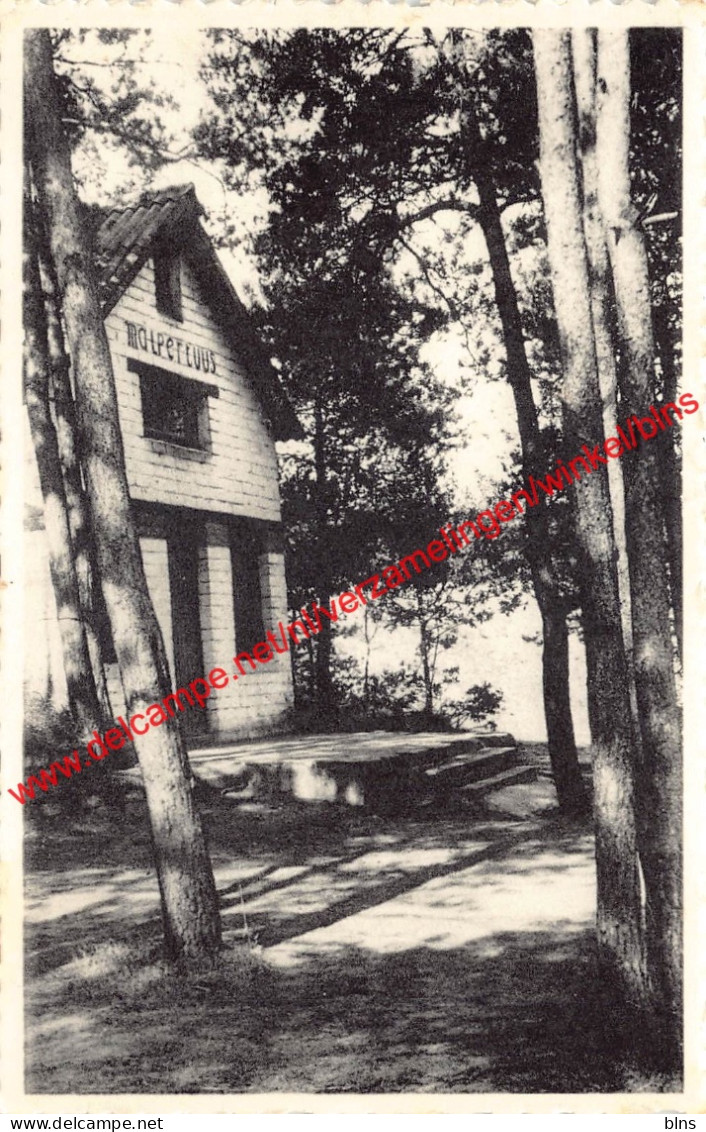 Geel-Bel - Malpertuus - het vacantiehuis - Geel