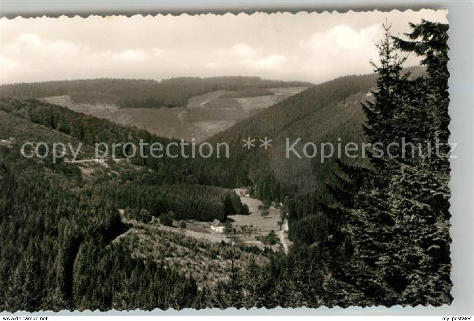 Gehren Endorf Pension Waldfrieden