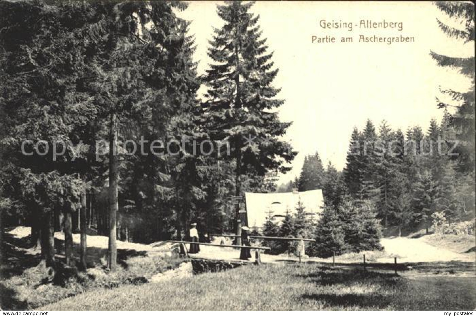 Geising Erzgebirge Aschergraben