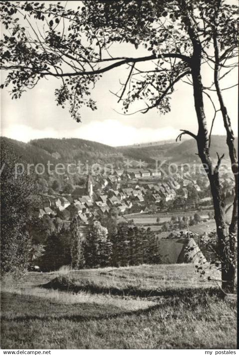Geising Erzgebirge Blick auf Geising