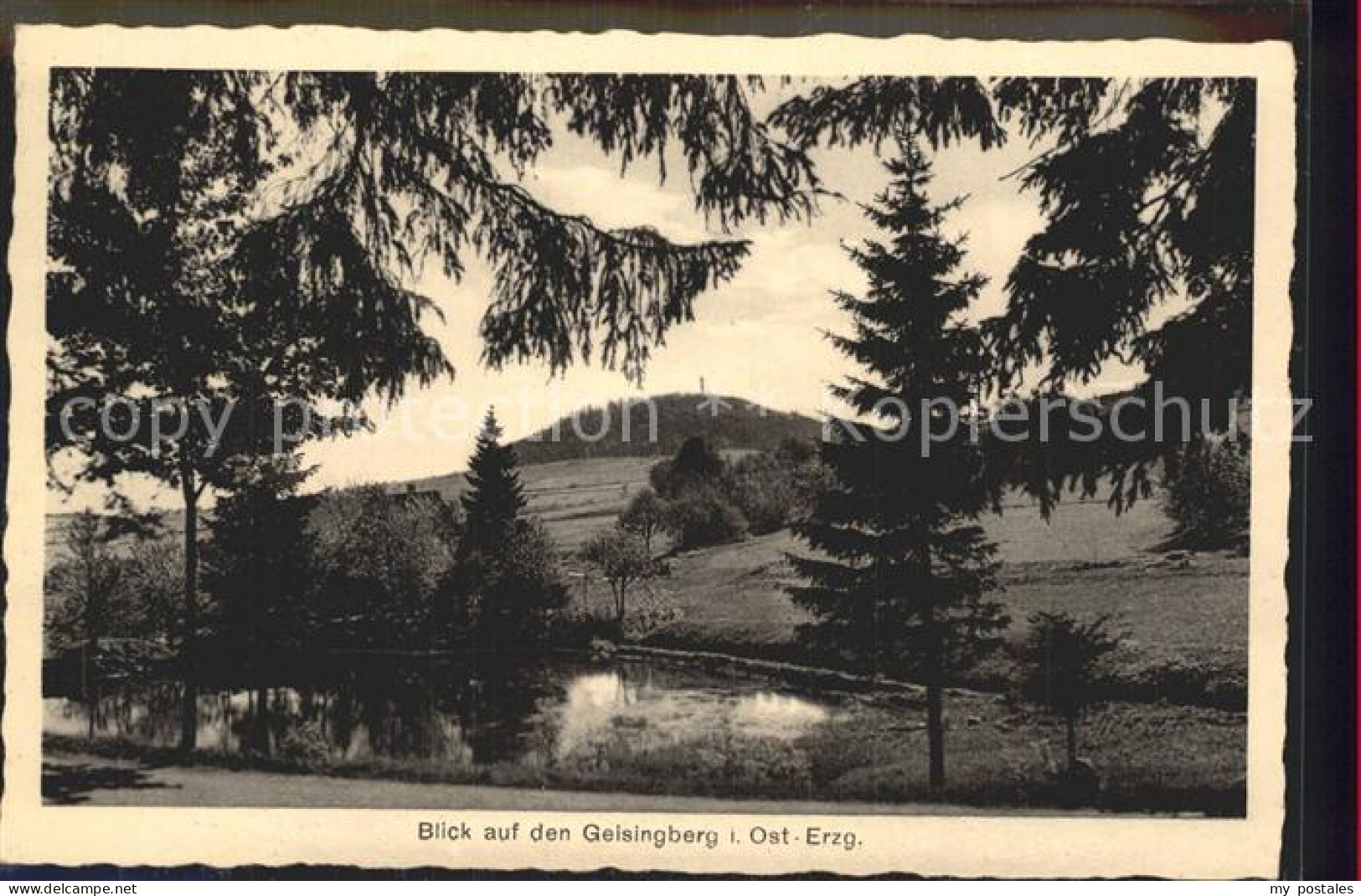 Geising Erzgebirge Geisingberg