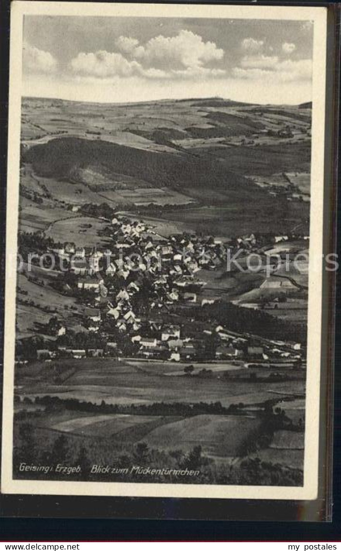 Geising Erzgebirge Mueckentuermchen