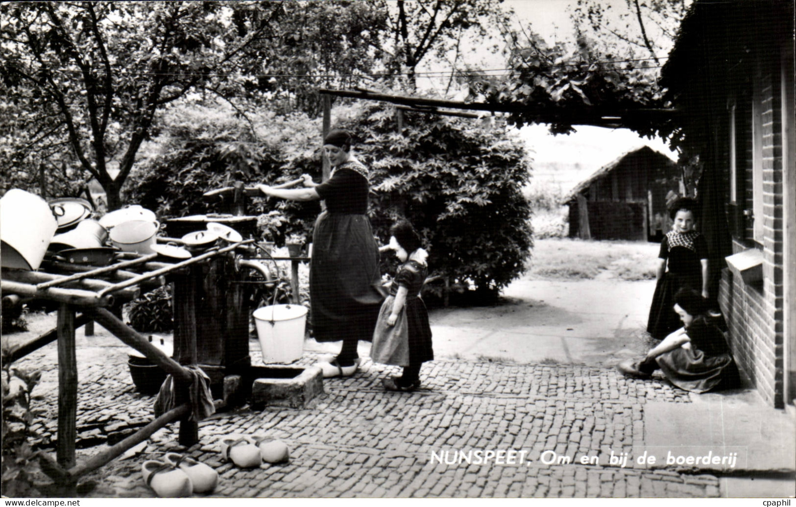 Gelderland-Nunspeet-Pay-Bays-Holland-Om en bij de boerderij -CPA