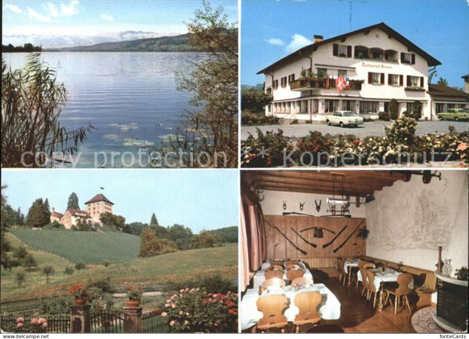 Gelfingen Landgasthof Sternen am Baldeggersee Gastraum