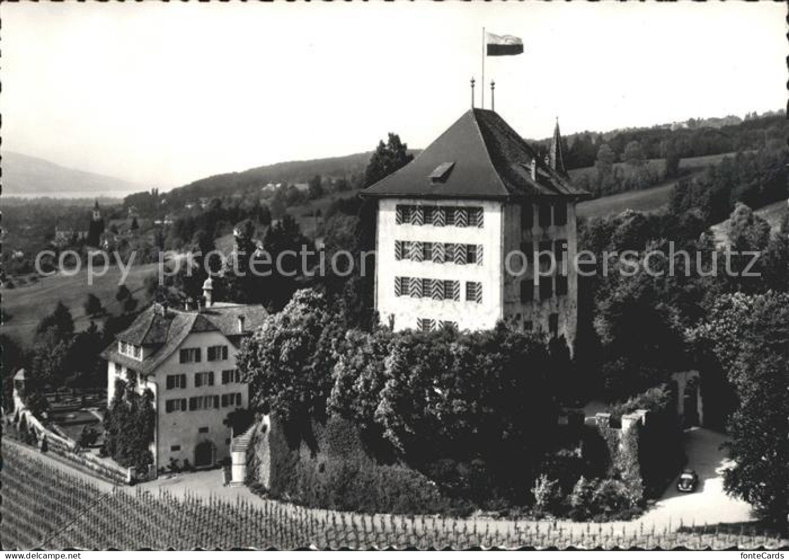 Gelfingen Schloss Heidegg