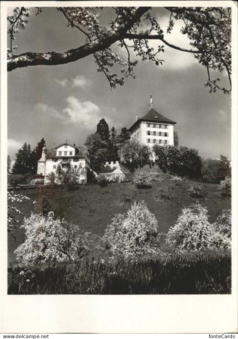Gelfingen Schloss Heidegg