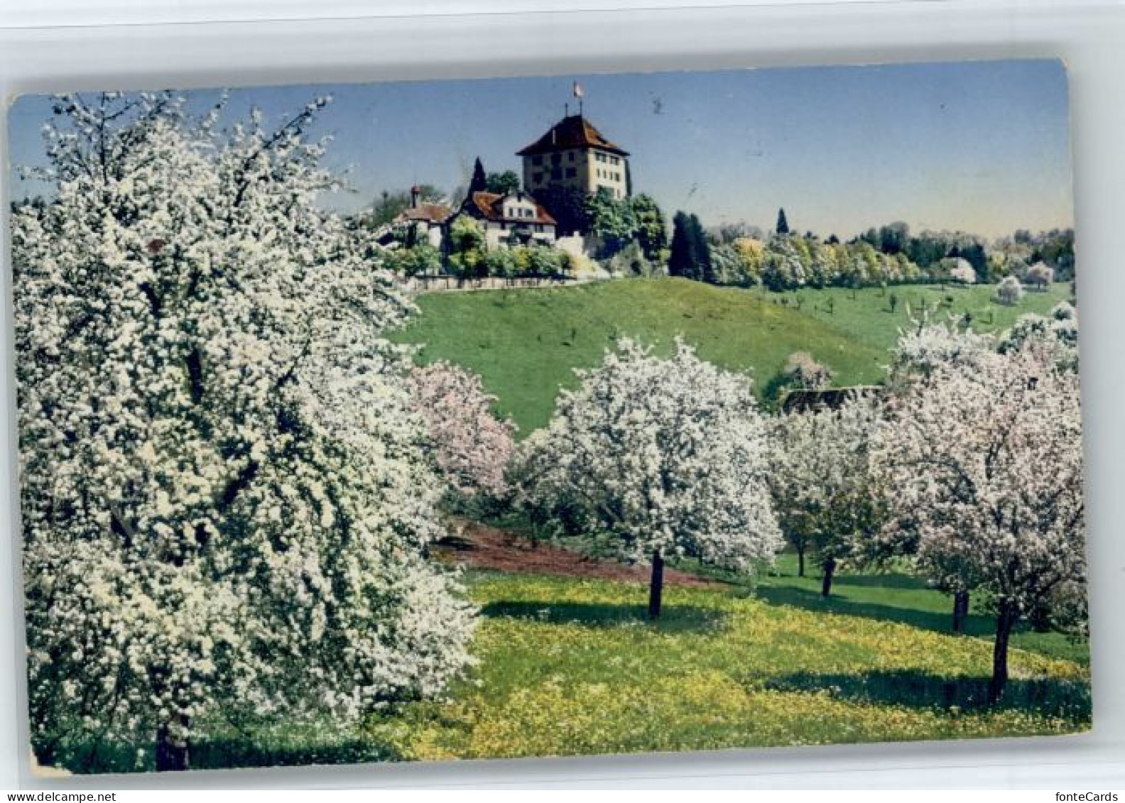 Gelfingen Schloss Heidegg