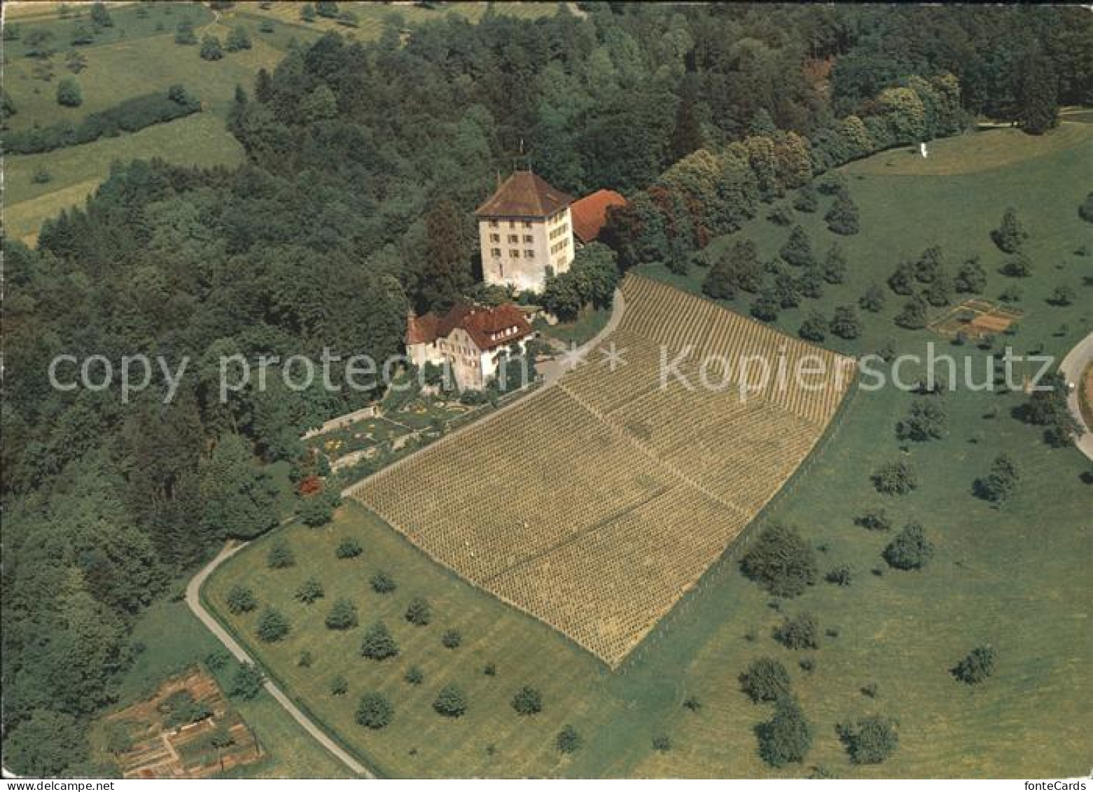 Gelfingen Schloss Heidegg