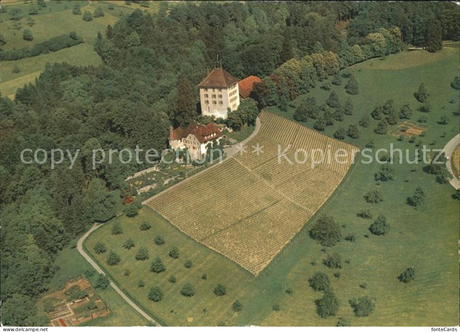 Gelfingen Schloss Heidegg Fliegeraufnahme