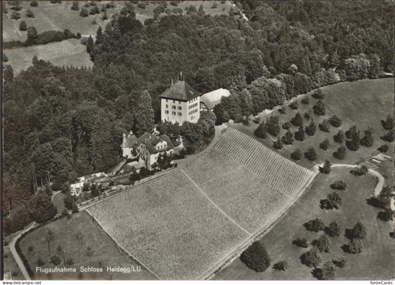Gelfingen Schloss Heidegg   Fliegeraufnahme