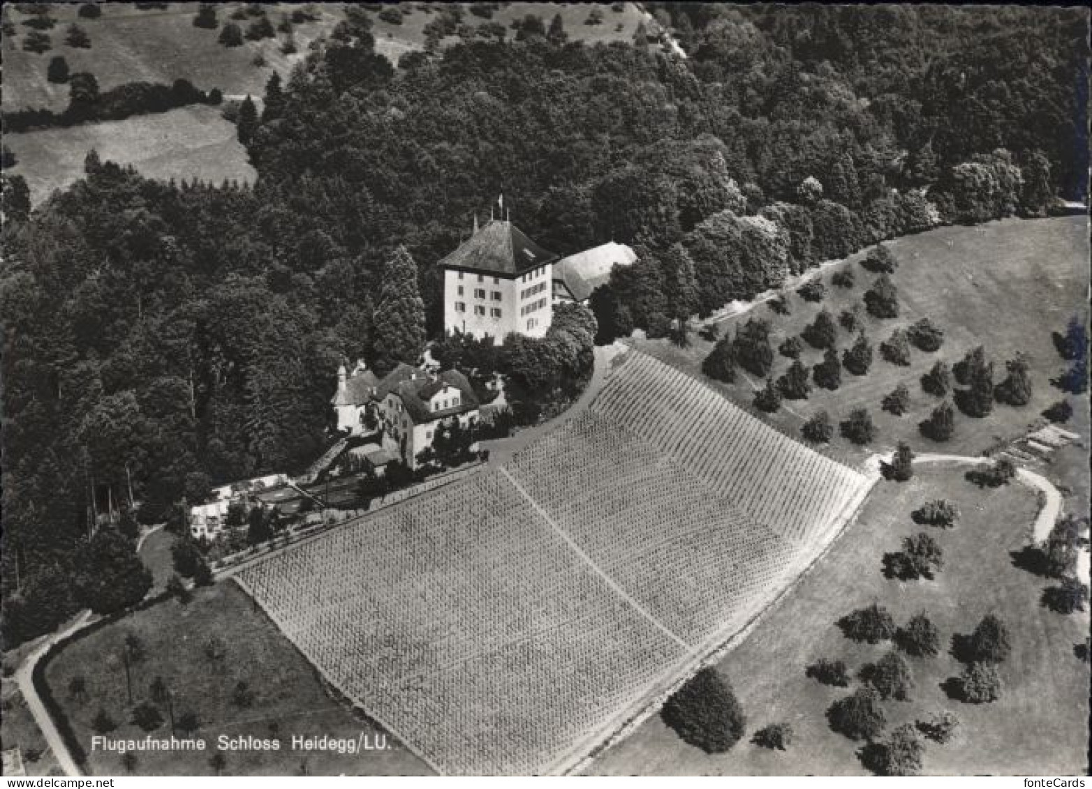 Gelfingen Schloss Heidegg Fliegeraufnahme