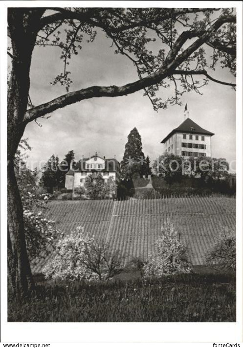 Gelfingen Schloss Heidegg Herrenhaus Kapelle