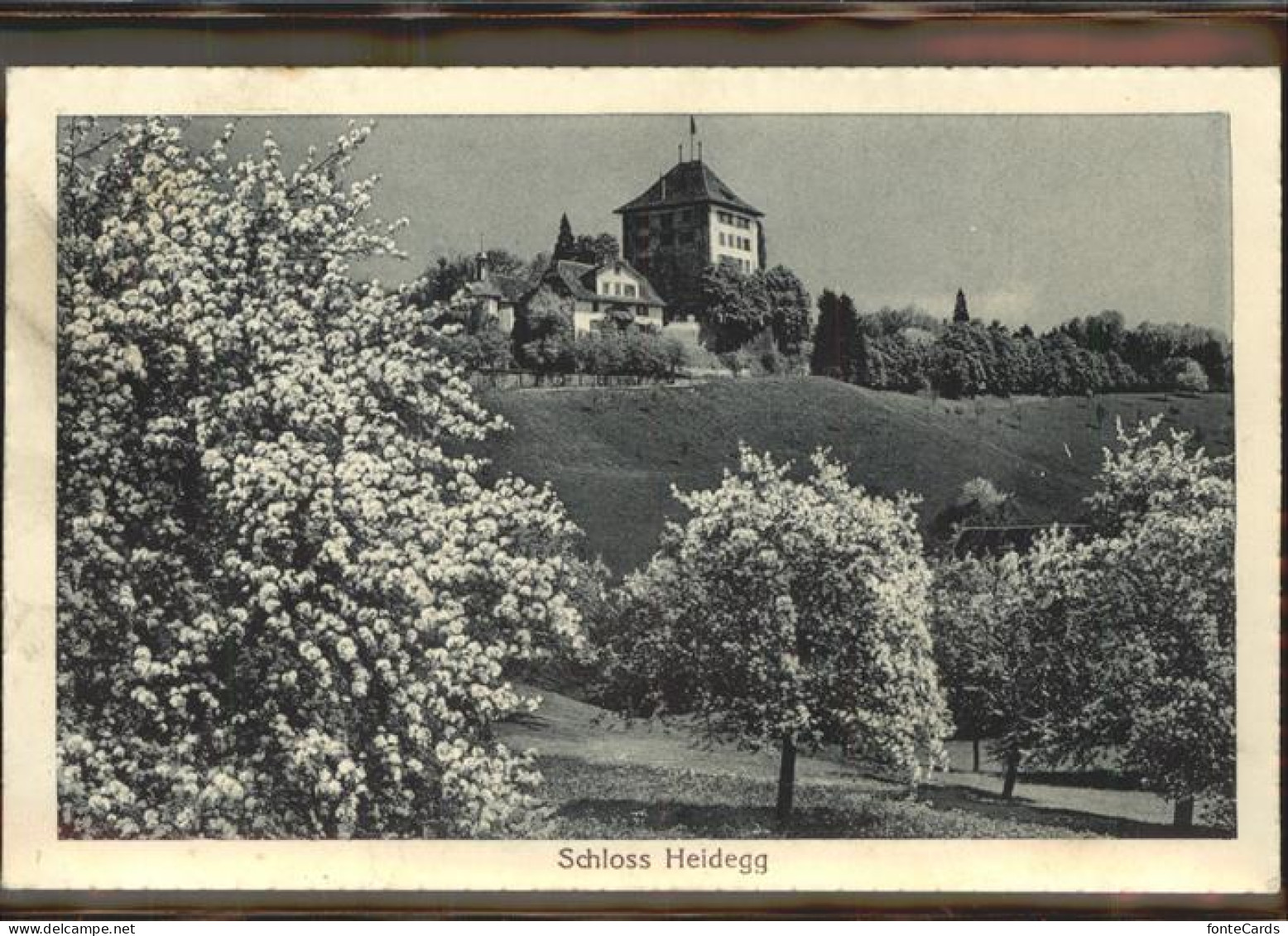 Gelfingen Schloss Heidegg Luzerner Seetal