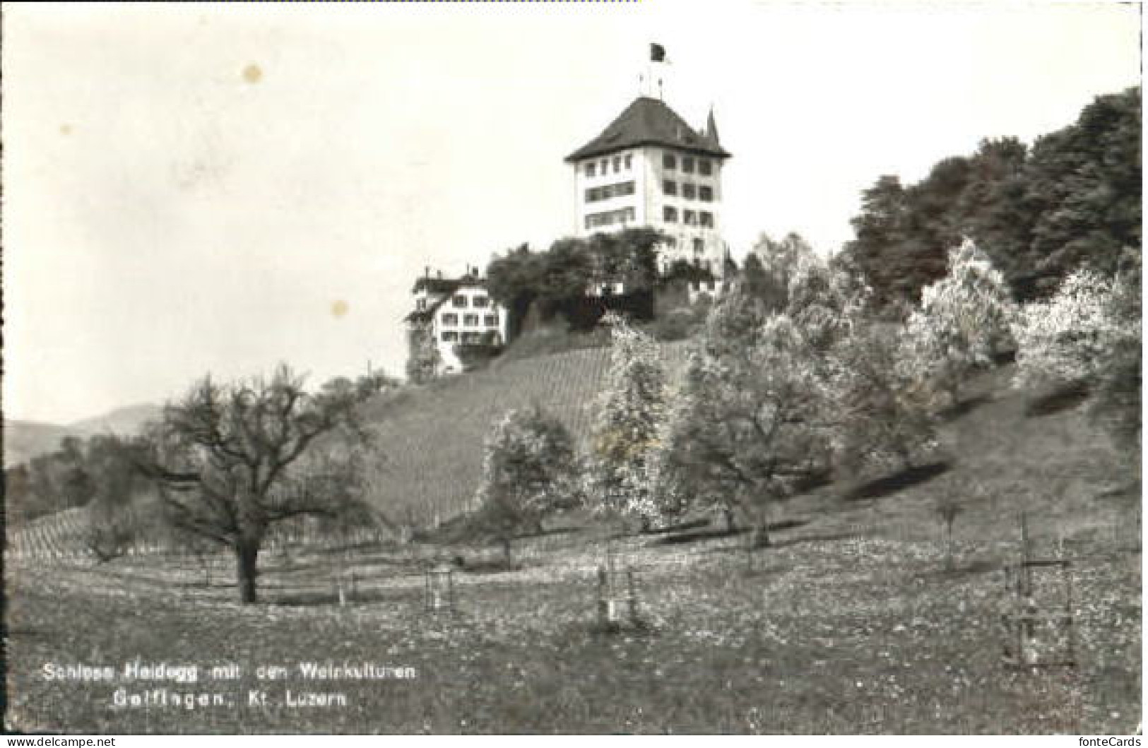 Gelfingen Schloss Heidegg x 1961