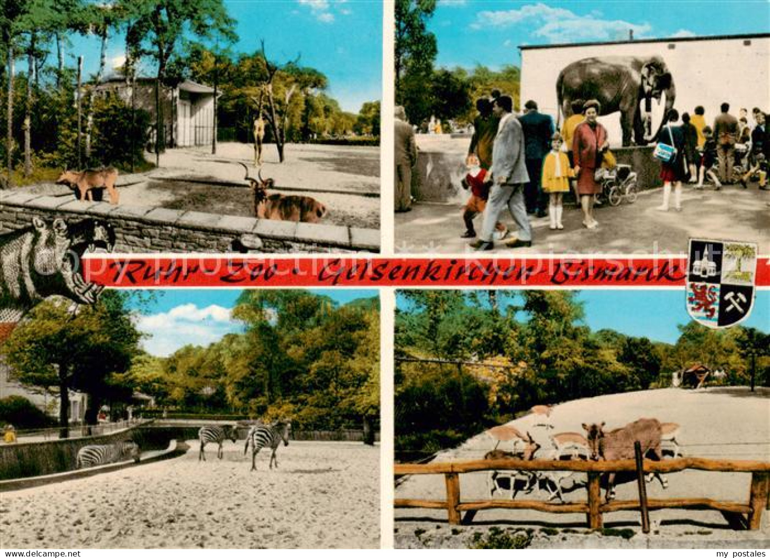 GELSENKIRCHEN NRW Ruhr Zoo Gelsenkirchen Bismarck Teilansichten