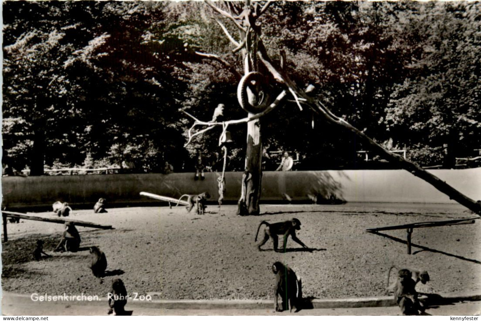 Gelsenkirchen, Ruhr-Zoo