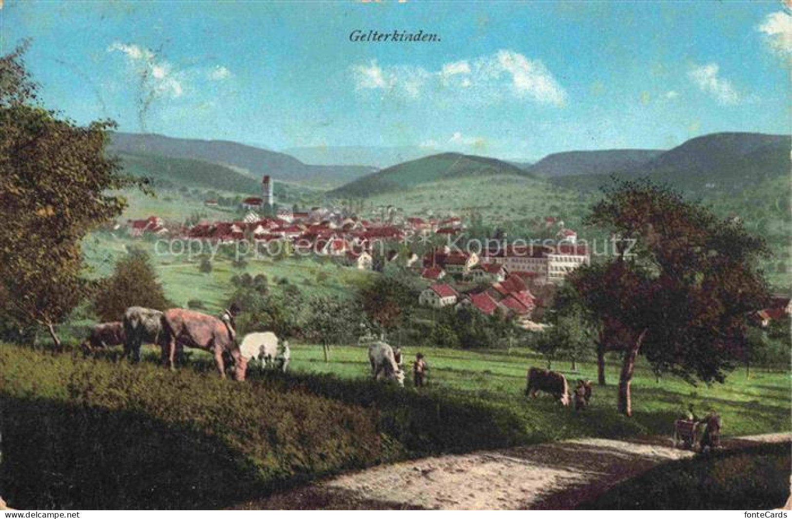 Gelterkinden BL Panorama