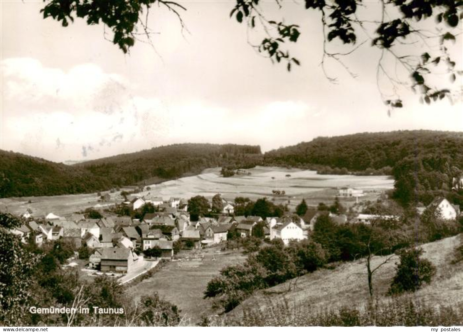 Gemuenden Taunus Panorama